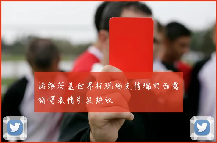 诺维茨基世界杯现场支持瑞典面露错愕表情引发热议
