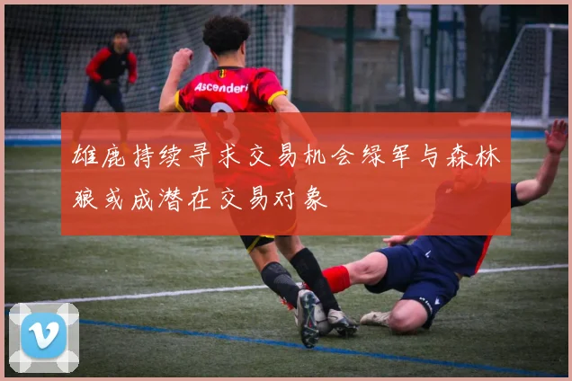 雄鹿持续寻求交易机会绿军与森林狼或成潜在交易对象